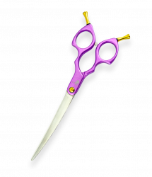 DAC-65 Purple:1